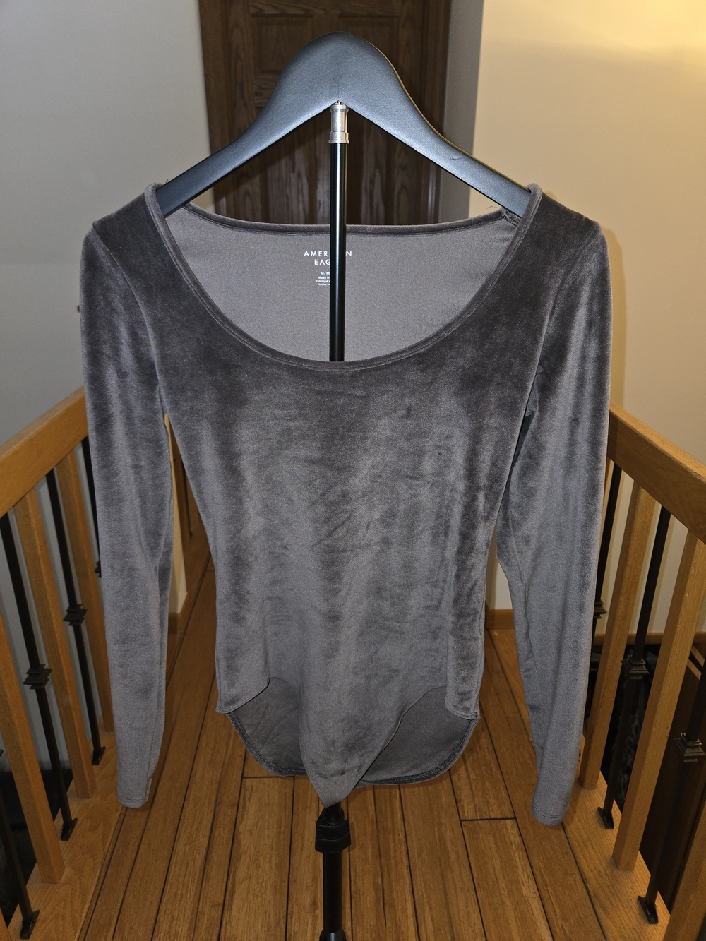 American Eagle Outfitters Taupe Velvet Long Sleeve Scoop Neck Top